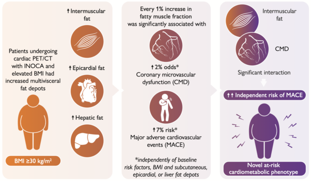 CVD ⁣Fat Distribution