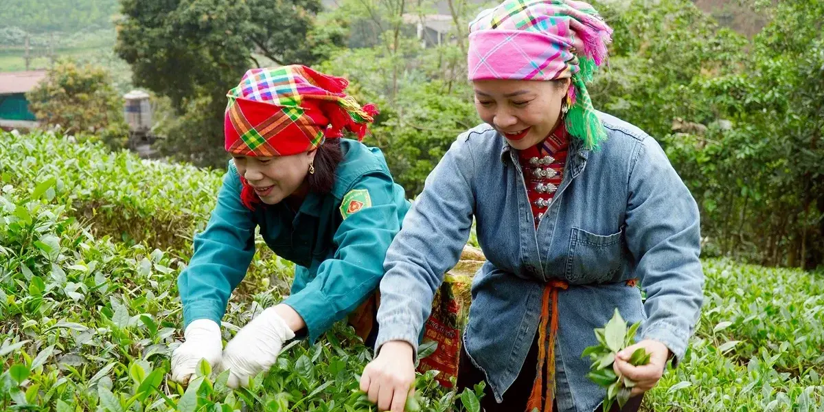 حلول — SA news