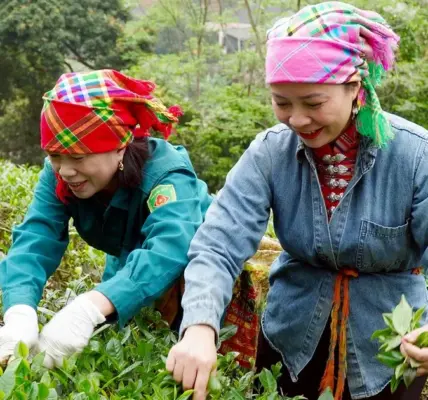 حلول — SA news