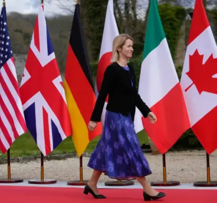 كايا كالاس — SA news