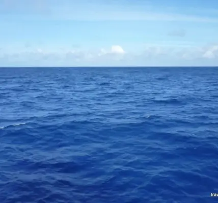 المحيط الهادي — SA news