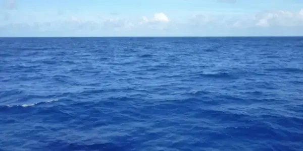 المحيط الهادي — SA news