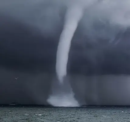 المركز الوطني للأرصاد — SA news