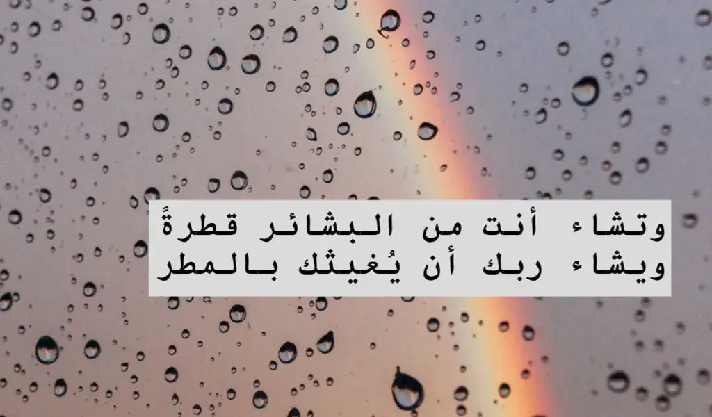 المطر — SA news