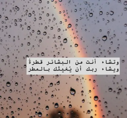 المطر — SA news