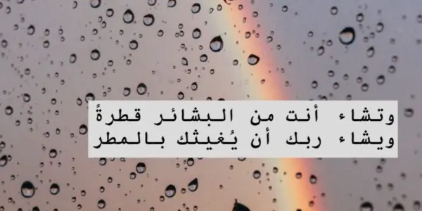 المطر — SA news