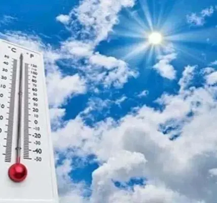 الطقس غدًا — SA news