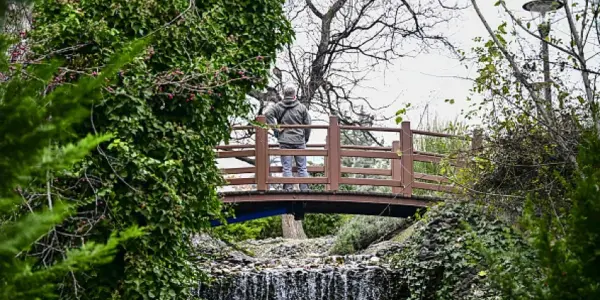 الطقس — SA news