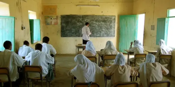 التقويم — SA news