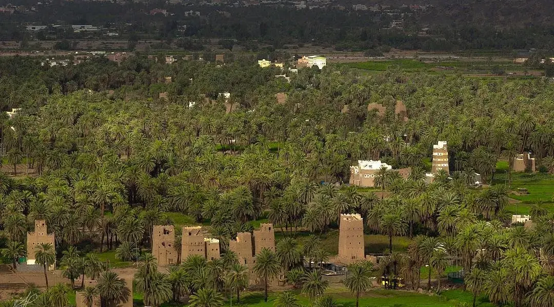 نجران — SA news