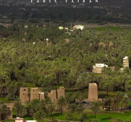 نجران — SA news