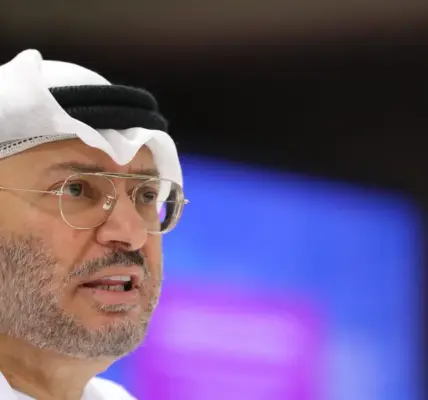 أنور قرقاش — SA news