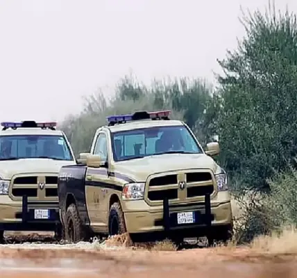 نظام — SA news