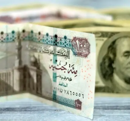 سعر الدولار اليوم مقابل الجنيه المصري — SA news