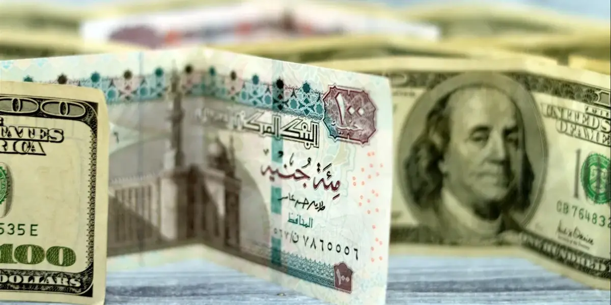 سعر الدولار مقابل الجنيه المصري — SA news