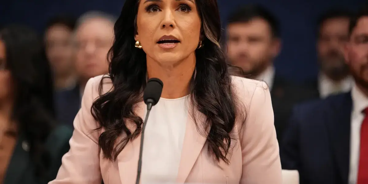 tulsi gabbard — SA news