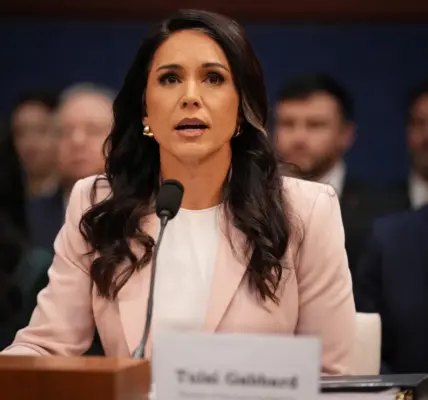 tulsi gabbard — SA news