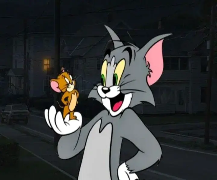 توم وجيري — SA news