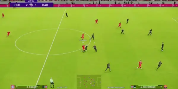 ودية — SA news