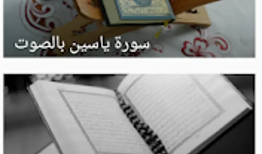 ياسين — SA news