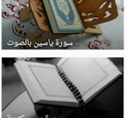 ياسين — SA news