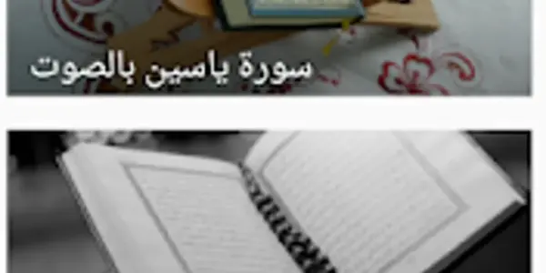 ياسين — SA news