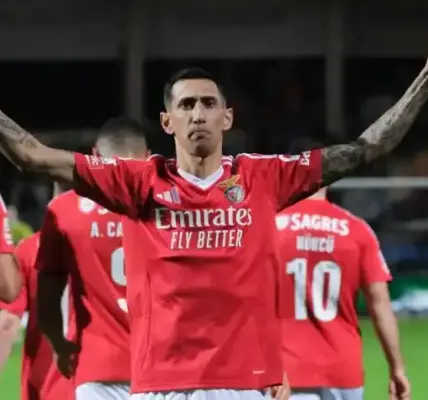 casa pia vs benfica — SA news