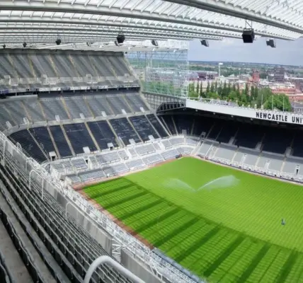 crystal palace vs newcastle — SA news