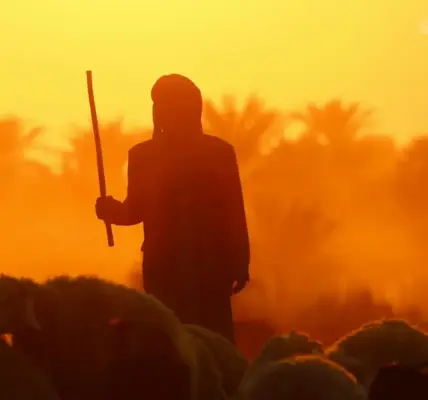 غبار — SA news