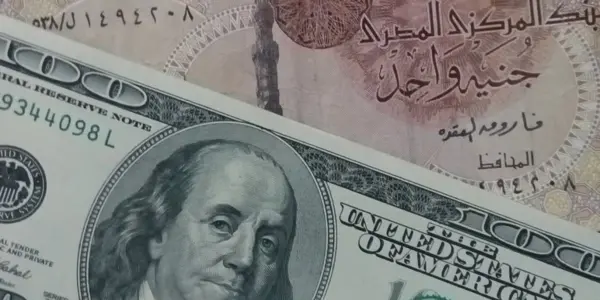 جنيه مصري — SA news