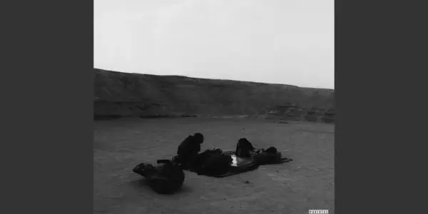 جريمة — SA news