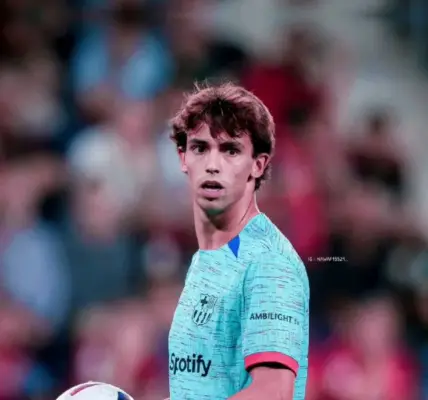 جواو كانسيلو — SA news