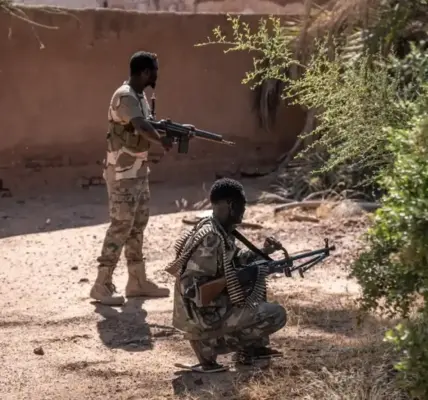 القوات المسلحة السودانية — SA news