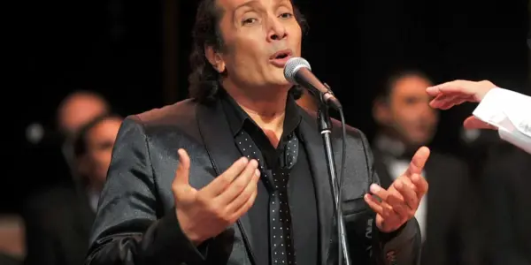 علي الحجار — SA news