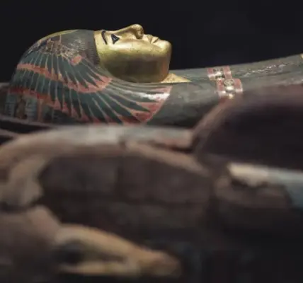 مومياء — SA news