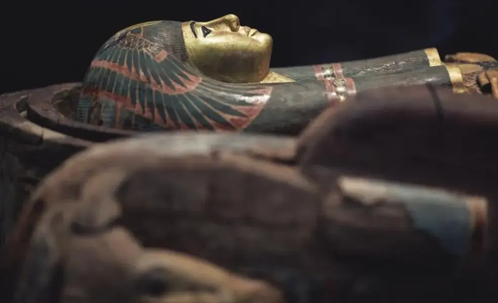 مومياء — SA news