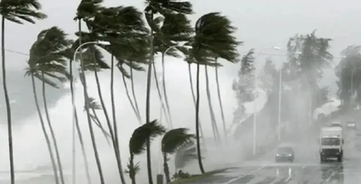 عاصفة رعدية — SA news