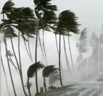 عاصفة رعدية — SA news