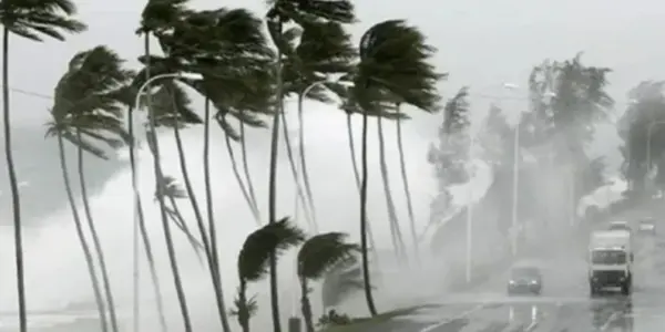 عاصفة رعدية — SA news