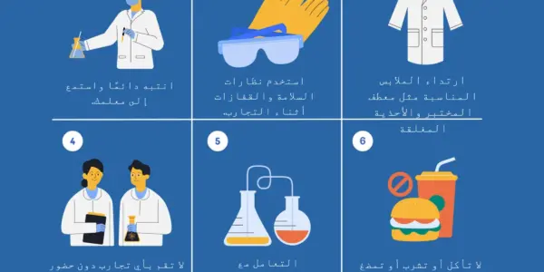 سلامة — SA news