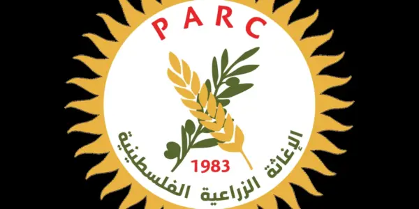 طاقة — SA news