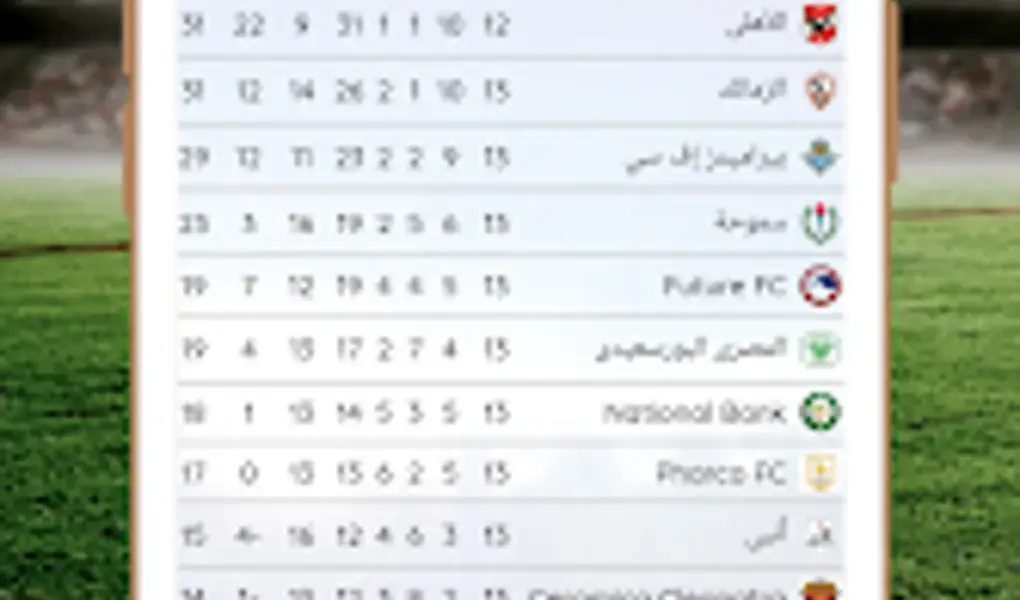 ترتيبات الدوري المصري — SA news