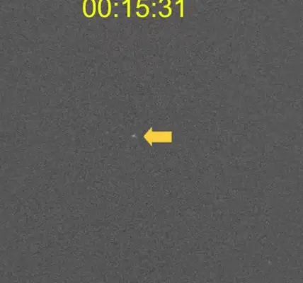 ظاهرة — SA news